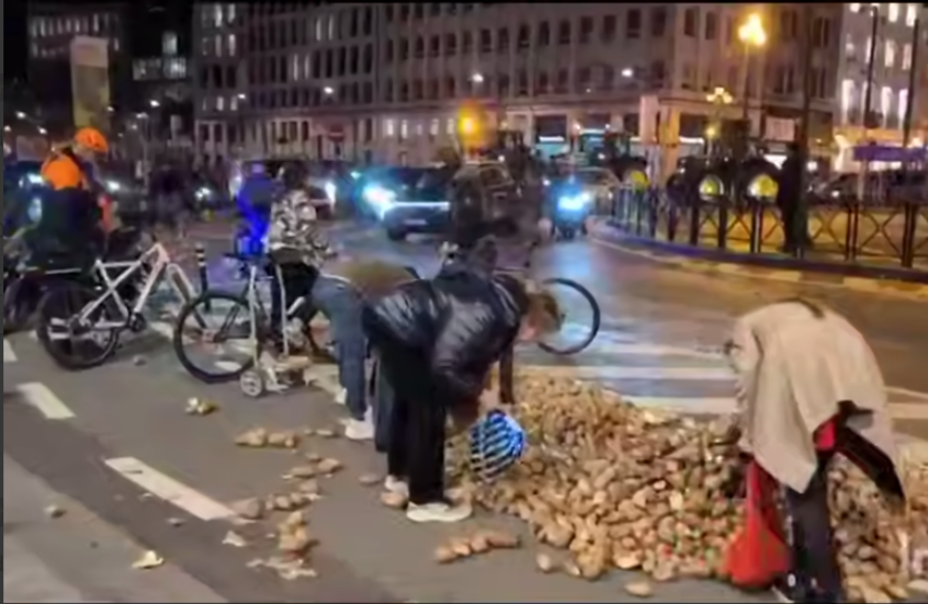 بروكسل.. بلجيكيون يهرعون لجمع بطاطس مرمية أمام البرلمان الأوروبي