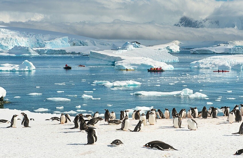 "كرة الموت" في أعماق الجليد.. علماء يكتشفون كائنات بحرية غير مسبوقة