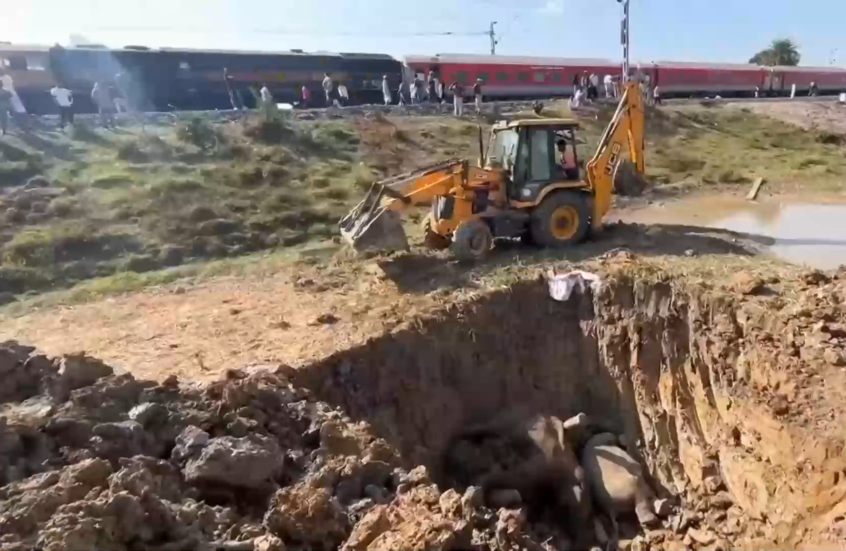 الهند.. مشاهد من مكان صدم قطار 7 أفيال برية