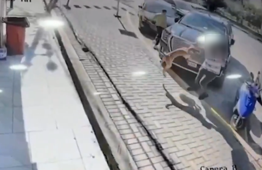 العراق.. وفاة شاب متأثرا بعضة كلب تثير جدلا كبيرا في البلاد (فيديو)