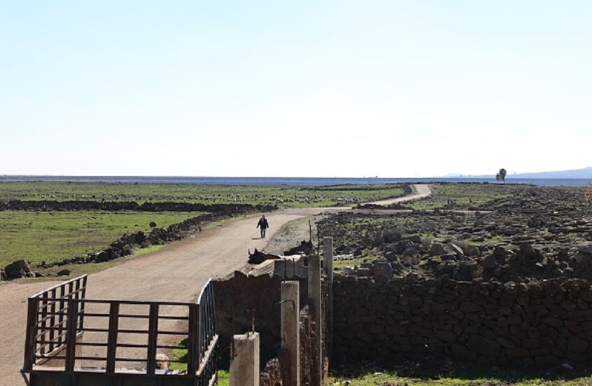 إعادة إسرائيليين دخلوا الأراضي السورية بدوافع استيطانية (فيديو)