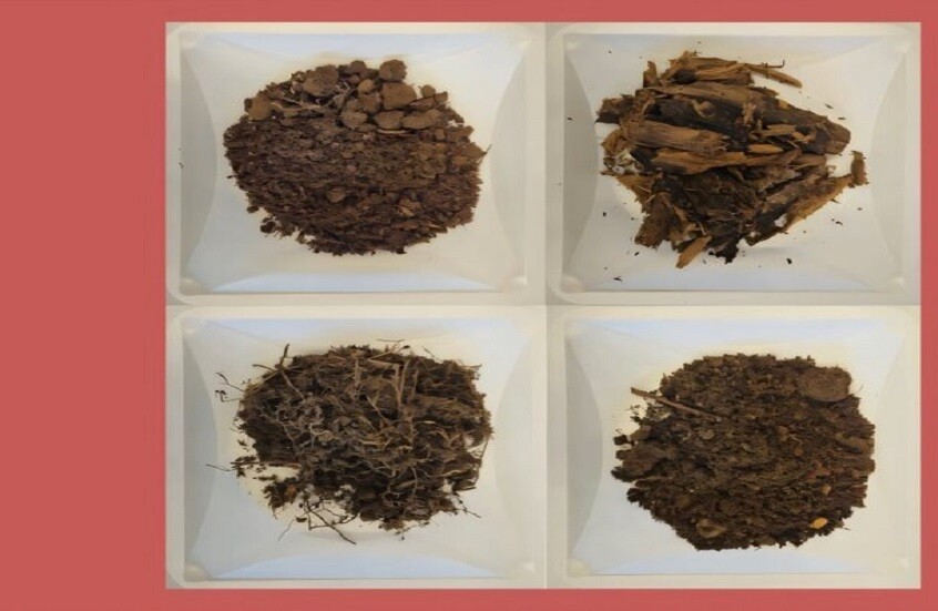 التربة.. العدو الخفي في أزمة المضادات الحيوية