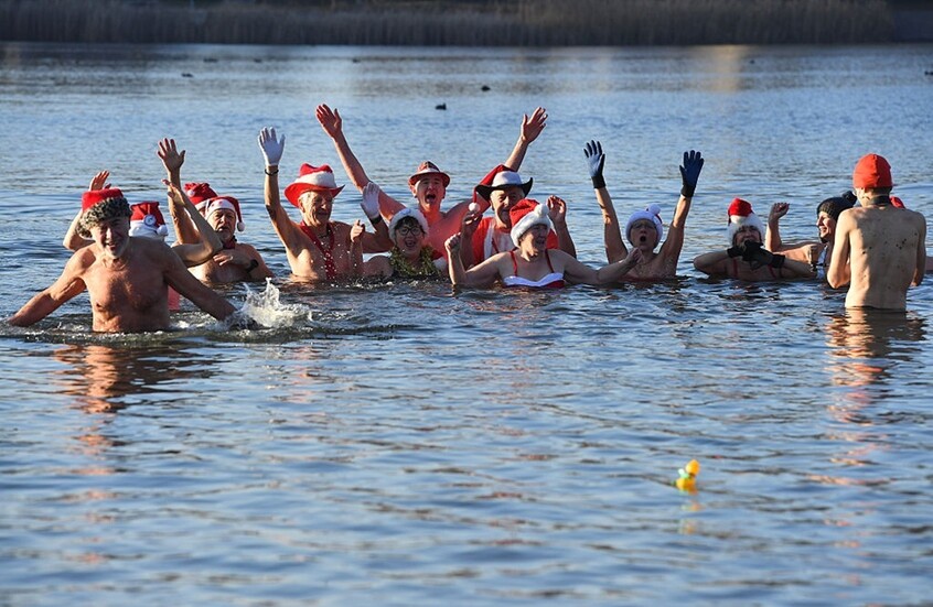 "فقمات برلين" تستقبل عيد الميلاد بالسباحة في المياه المتجمدة