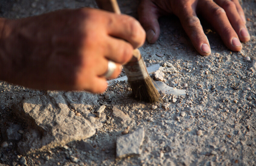 لعبة عمرها 1700 عام.. اكتشاف لوحة فسيفساء فريدة تعود لحضارة المايا