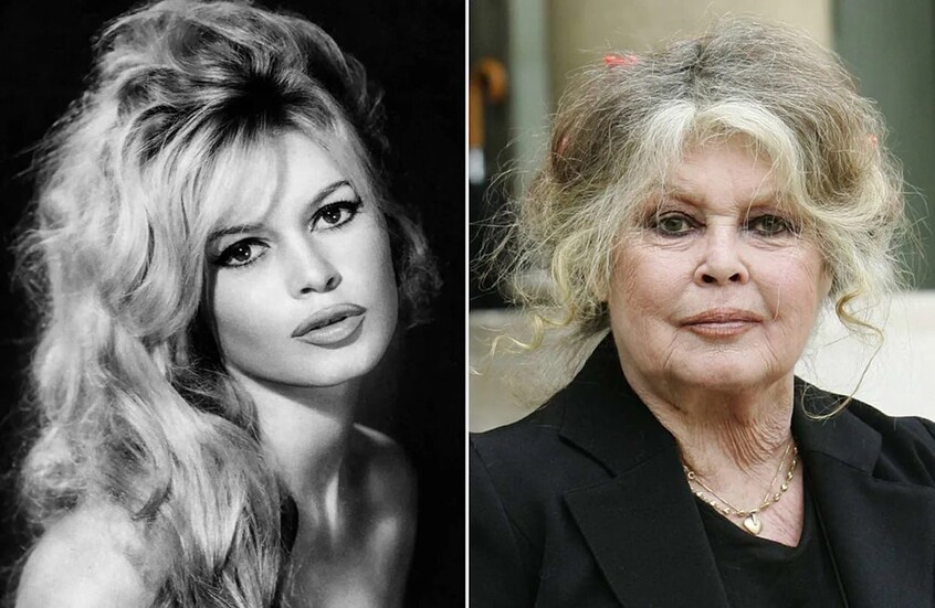 فرانس برس: وفاة الممثلة الفرنسية بريجيت باردو  عن عمر يناهز 91 عاما