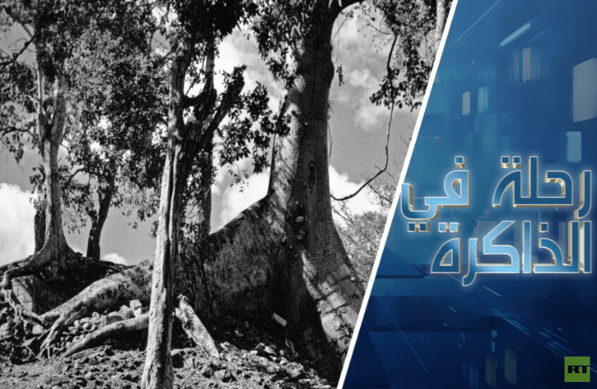 تشابهات عابرة للمحيطات أو لغز ظهور حواء وشجرة الجنة في أساطير مايا القديمة