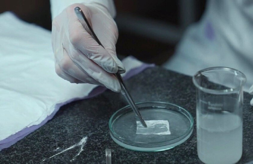 علماء روس يبتكرون ضمادة جروح متعددة الوظائف لتعزيز الشفاء ومنع العدوى