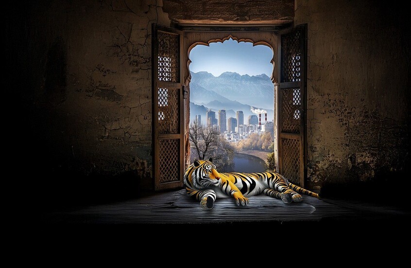 نافذة على باكستان