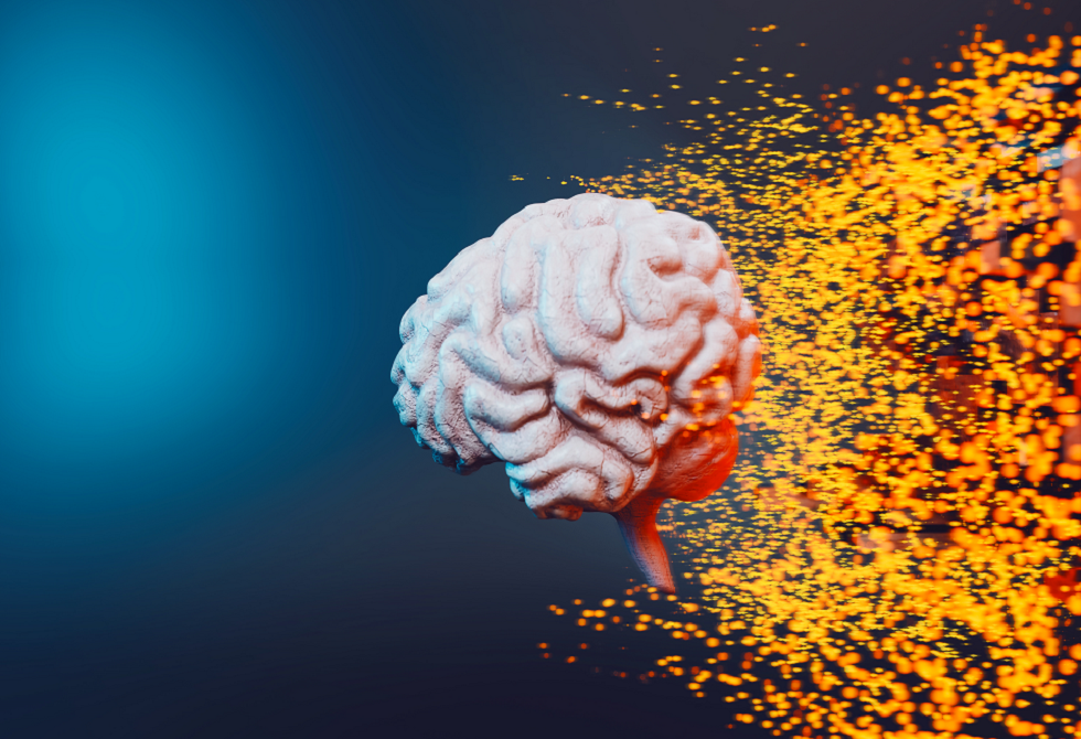 وجبة خفيفة يومية تحسّن الذاكرة خلال أربعة أشهر!