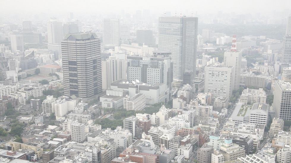 علماء: فيتامين С يحمي الرئتين من تلوث الهواء