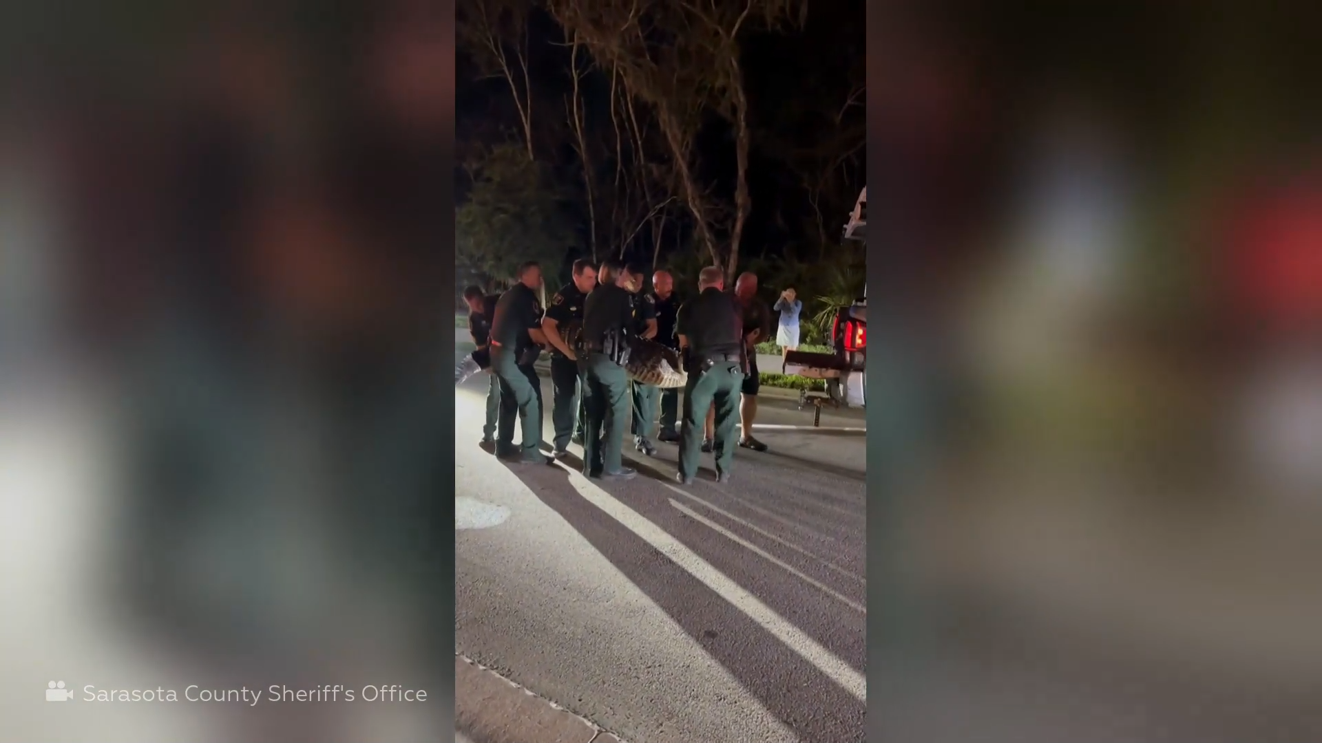 بمشاركة 8 أشخاص.. عملية صعبة لإزاحة تمساح بوزن 272 كغ عطل حركة المرور في فلوريدا