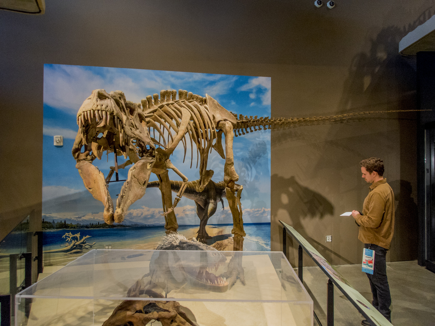 فرنسا بصدد إعادة هيكل ديناصور مسروق إلى منغوليا