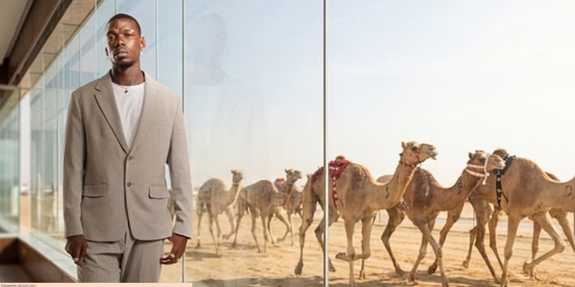 "أغلى جمل في العالم".. بول بوغبا يقتحم عالم سباقات الهجن باستثمار سعودي