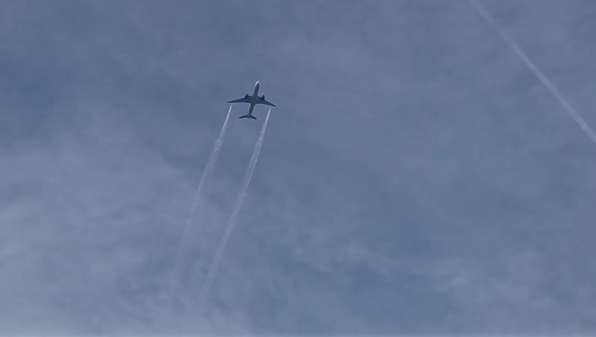 عبر تنسيق هادئ وحازم.. واشنطن تنجو من كارثة جوية (فيديو)