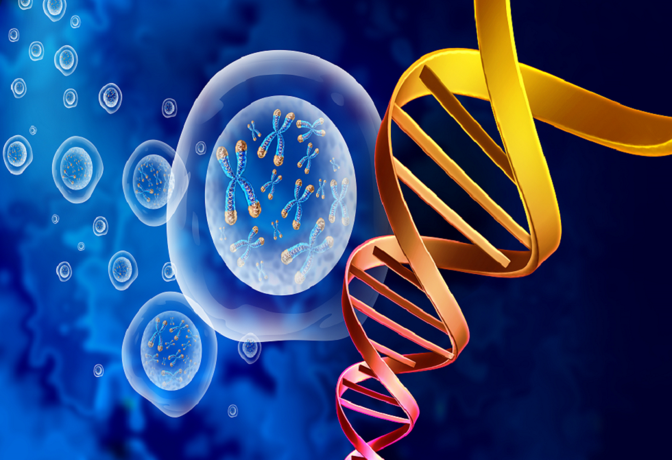 هل الشيخوخة نتيجة لتخريب جيني؟.. اكتشاف جديد مثير للجدل