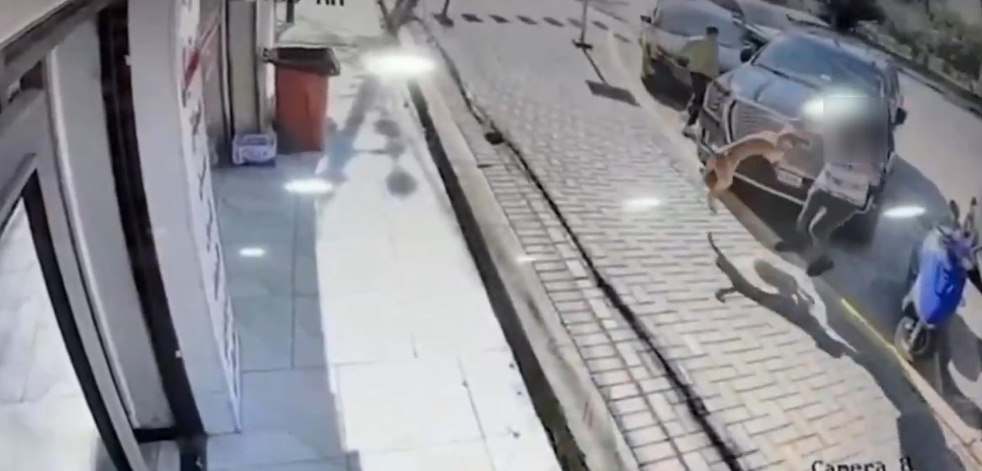 العراق.. وفاة شاب متأثرا بعضة كلب تثير جدلا كبيرا في البلاد (فيديو)