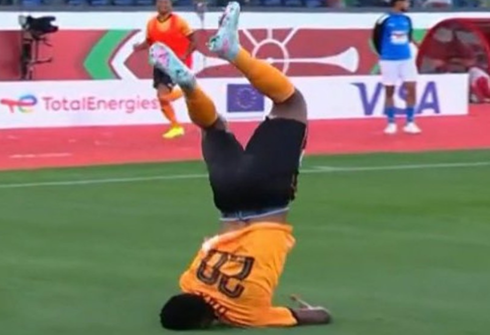 احتفال هستيري بعد هدف "قاتل" بكأس أمم إفريقيا 2025 يثير الذعر في الملعب (فيديو)