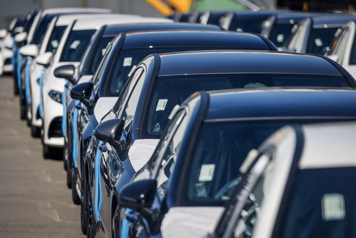 تحذير لسائقي السيارات في مصر.. قانون جديد يغلظ العقوبة