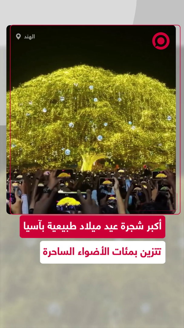 إضاءة أكبر شجرة عيد ميلاد طبيعية في مدينة هندية