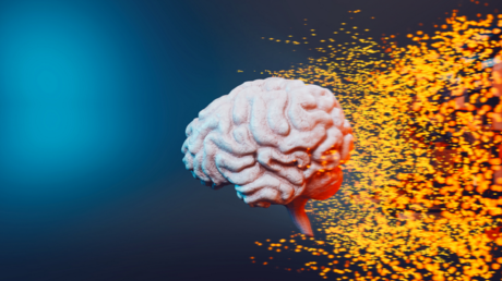 وجبة خفيفة يومية تحسّن الذاكرة خلال أربعة أشهر!