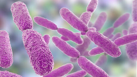 اختبار روسي جديد يتيح كشف بكتيريا خطيرة مقاومة لمضادات الحيوية