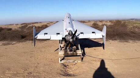 الصين تكشف عن درونات شبيهة بـ 