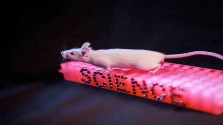 دراسة روسية تكشف تأثيرا خطيرا لمضاد الاكتئاب فلوكسيتين على خصوبة الإناث