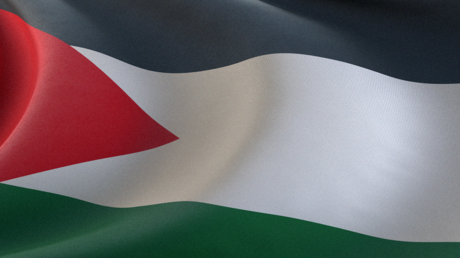 بدء سريان اتفاق الإلغاء المتبادل للتأشيرات بين روسيا والأردن