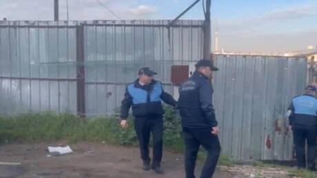 ضبط مسلخ غير قانوني لذبح الخيول والحمير في قلب إسطنبول