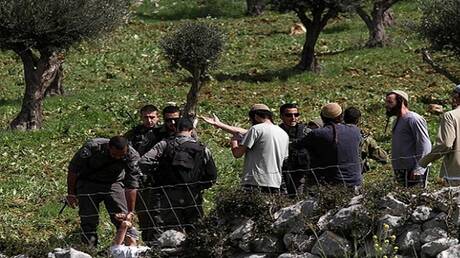 مستوطنون يشعلون النيران في أشجار زيتون بقرية برقا برام الله (فيديو)