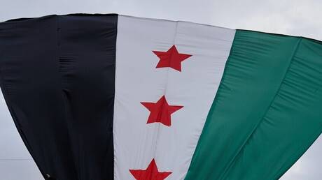 مجلس حقوق الإنسان يعين أعضاء لجنة التحقيق بشأن سوريا (صور)