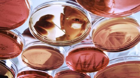 باستخدام عينة بول.. ساعة بيولوجية مبتكرة تتنبأ بالعمر الحقيقي وتقيّم مخاطر الأمراض المزمنة