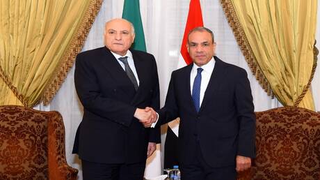 مصر والجزائر يعلنان رفضهما أي تدخلات خارجية في الدول الإفريقية