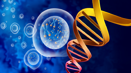 هل الشيخوخة نتيجة لتخريب جيني؟.. اكتشاف جديد مثير للجدل