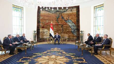 الرئاسة المصرية تكشف تفاصيل لقاء السيسي ولافروف