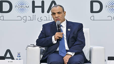 وزير الخارجية المصري: نأمل بدء المرحلة الثانية من اتفاق غزة يناير المقبل