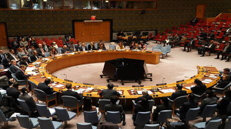  كوريا الجنوبية تختتم عضويتها بمجلس الأمن