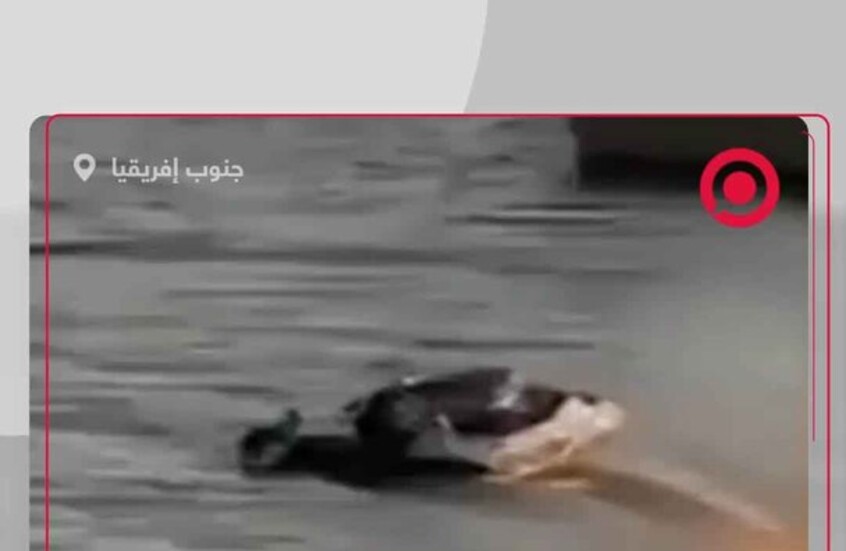 مشهد مرعب: قارب عالق على حافة سد عال وناجون يتشبثون بالحياة في جنوب إفريقيا.