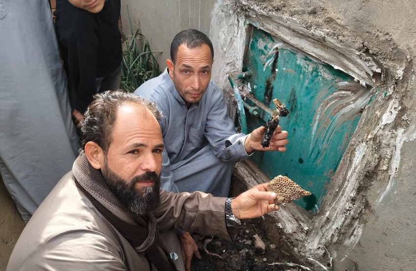 مفاجأة من عالم الأموات.. مصريون يعثرون على مملكة نحل داخل مقبرة (صور + فيديو)