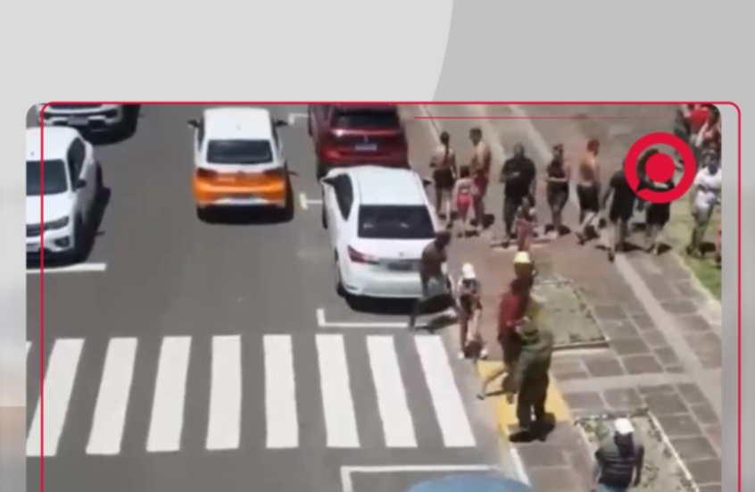 فقمة تتجول على شاطئ برازيلي