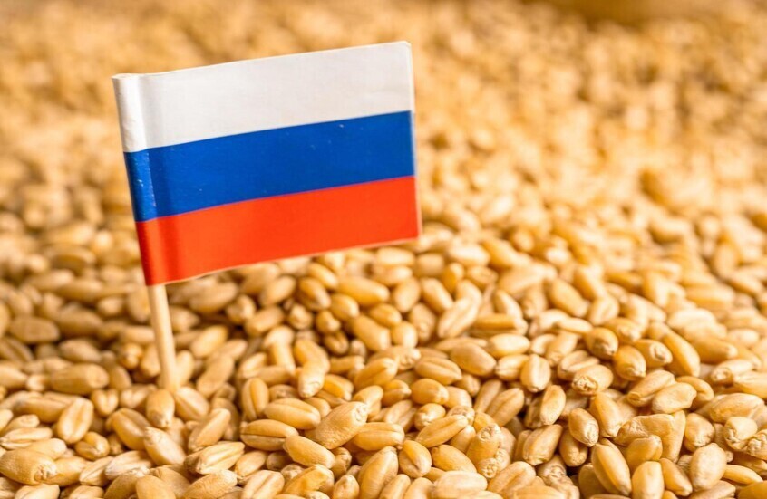 روسيا تحتفظ بموقعها الأول عالميا بين مصدري القمح