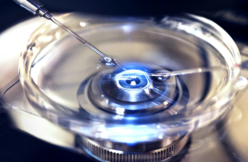 الحصن الواقي للحيوانات المنوية.. فيتامين أساسي يحمي الذكور