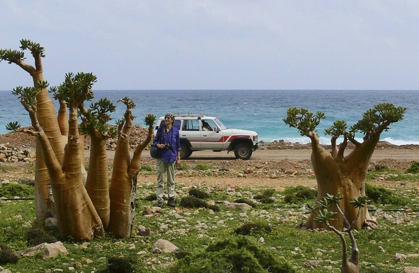 مغادرة أول مجموعة من الروس العالقين في سقطرى إلى السعودية