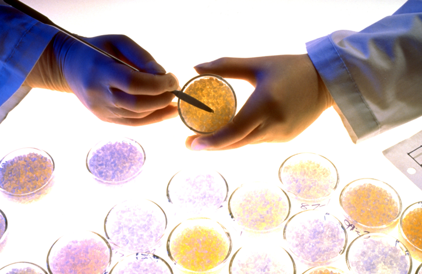 ابتكار ألماني قد يغيّر مستقبل صناعة البلاستيك