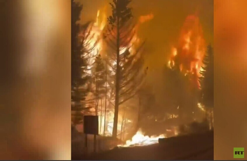 حرائق تلتهم آلاف هكتارات الغابات في الأرجنتين