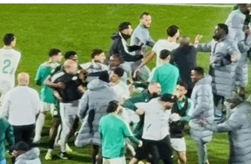 أحداث مؤسفة في ملعب مراكش بعد نهاية مباراة الجزائر ونيجيريا (فيديو)