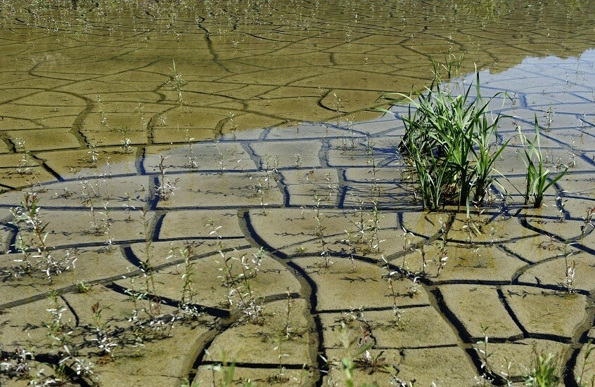 اكتشاف صلة بين الجفاف والفيضانات حول العالم
