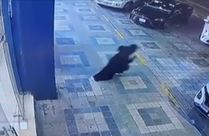 "بطلة" سعودية تكافأ بسيارة موديل 2026 بعد إنقاذها أطفالا من حادث خطير في جازان (فيديوهات)