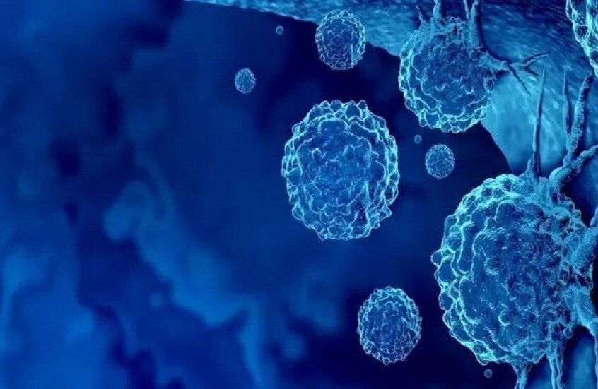 اكتشاف آلية طبيعية لكبح الالتهاب