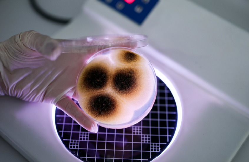 أغذية "صحية" قد تخفي سموما قاتلة!